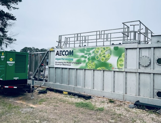 A Behind-the-Scenes Look: How Oceanfoam Rolls on Algae Power