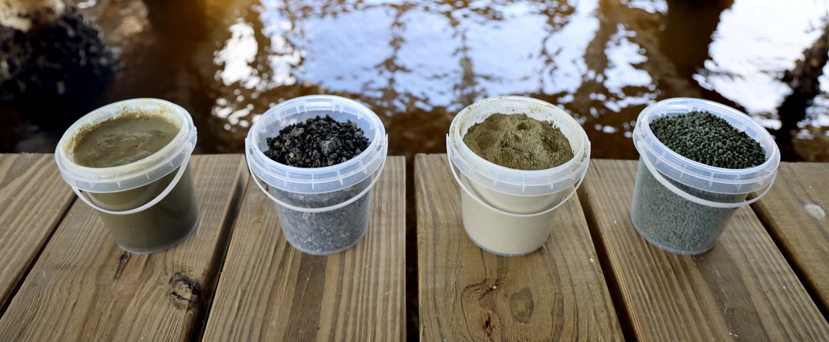Algae Maker Made With Algae | Oceanfoam